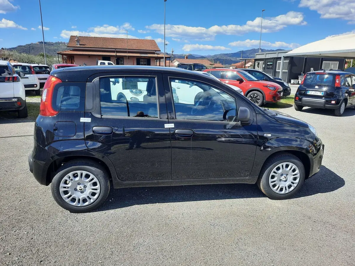 Fiat Pandina nuova a La Spezia (2)