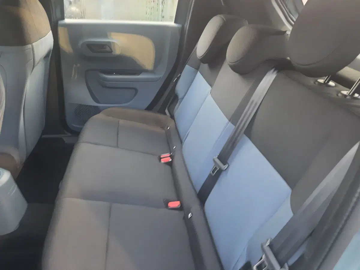 Fiat Grande Panda nuova a La Spezia (11)
