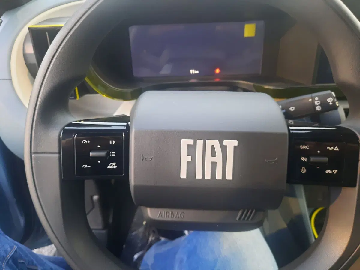 Fiat Grande Panda nuova a La Spezia (13)