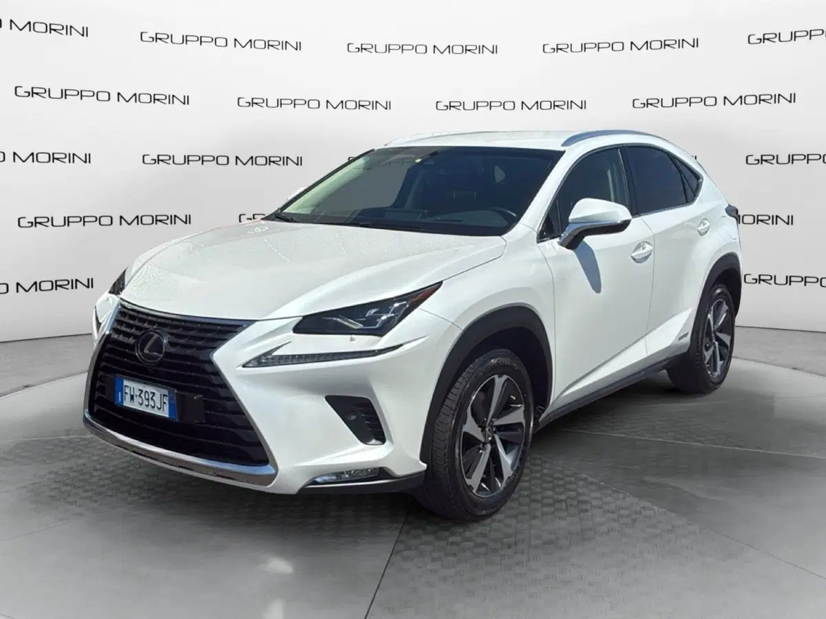 Lexus NX usata a Mantova