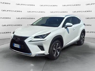 Lexus NX Hybrid 4WD Luxury del 2019 usata a San Giorgio e Bigarello