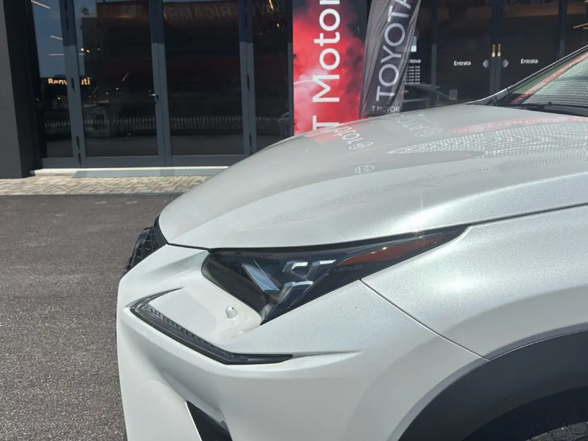 Lexus NX usata a Mantova (10)