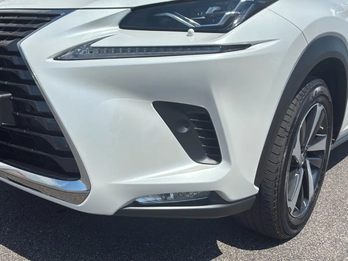 Lexus NX usata a Mantova (11)