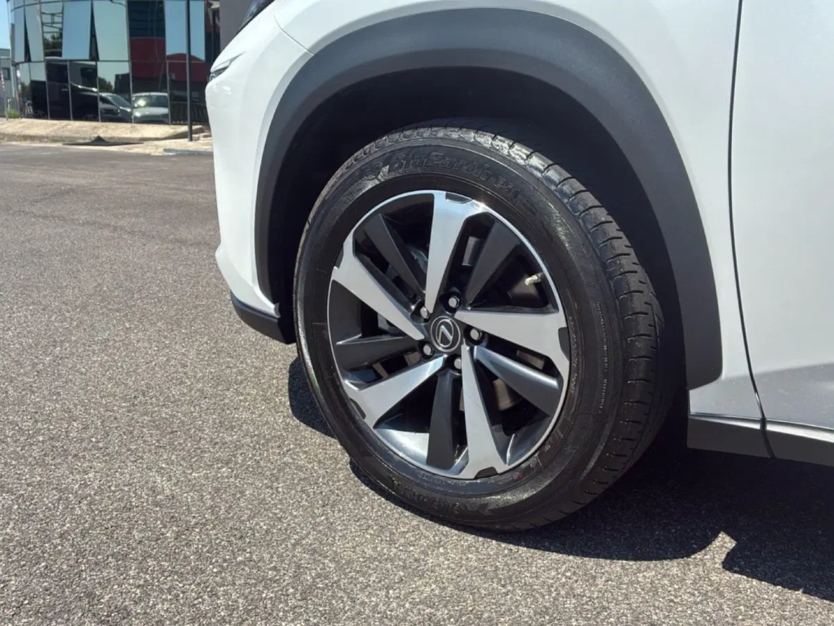 Lexus NX usata a Mantova (13)
