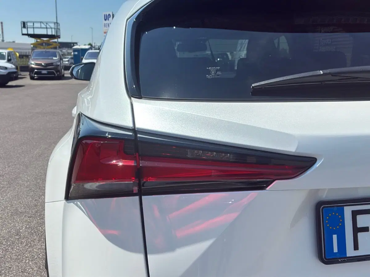 Lexus NX usata a Mantova (14)
