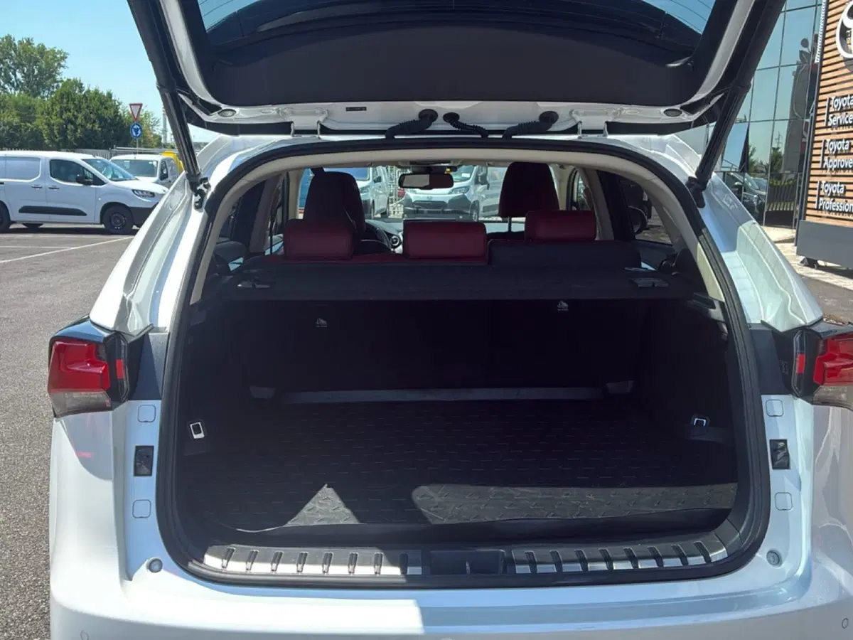 Lexus NX usata a Mantova (15)