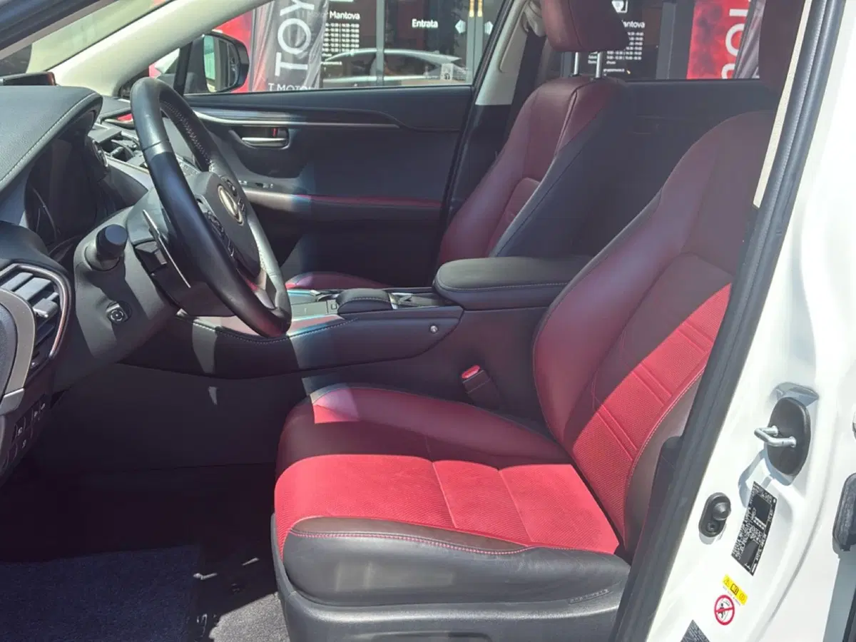 Lexus NX usata a Mantova (16)