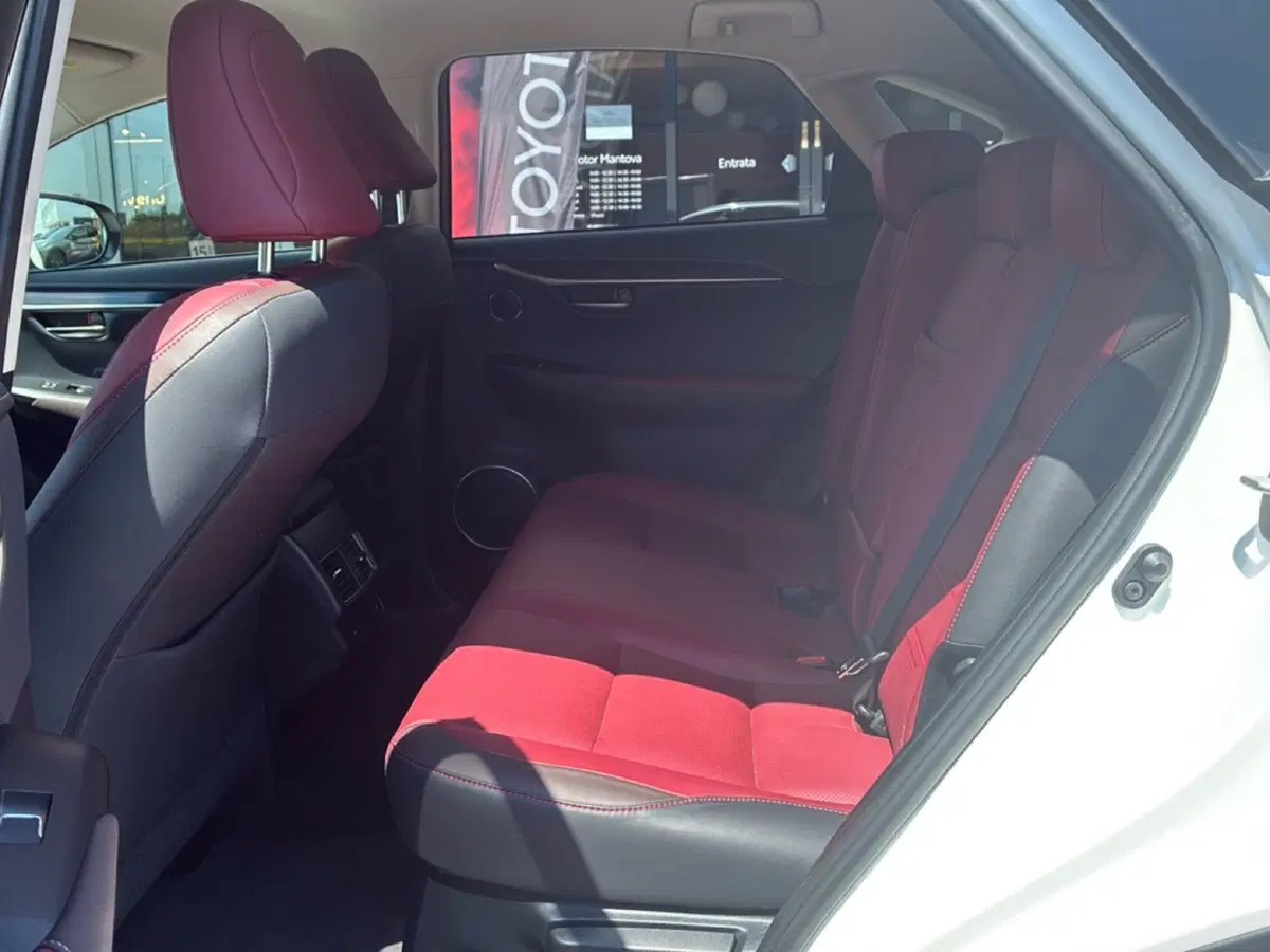 Lexus NX usata a Mantova (17)