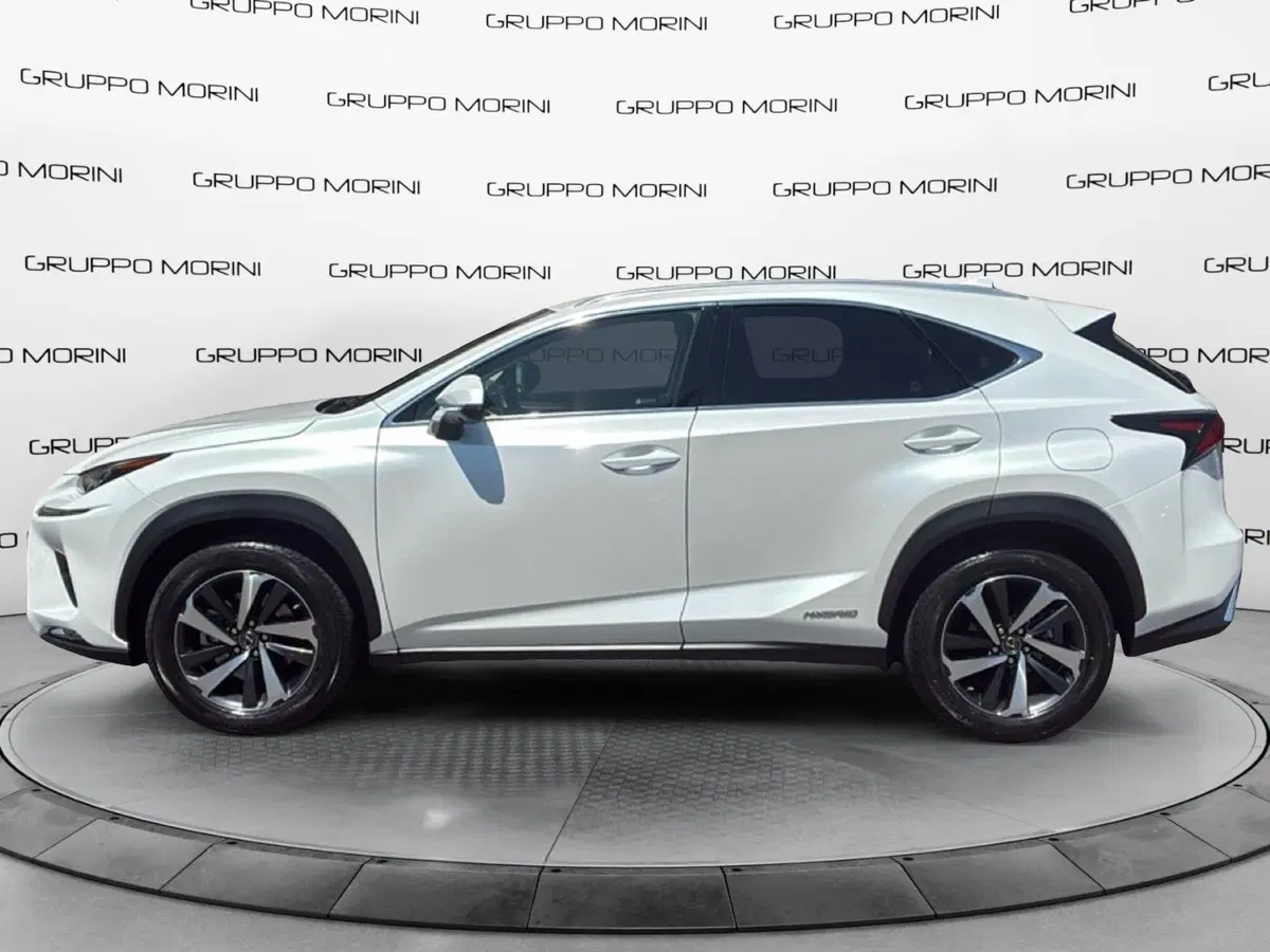 Lexus NX usata a Mantova (2)