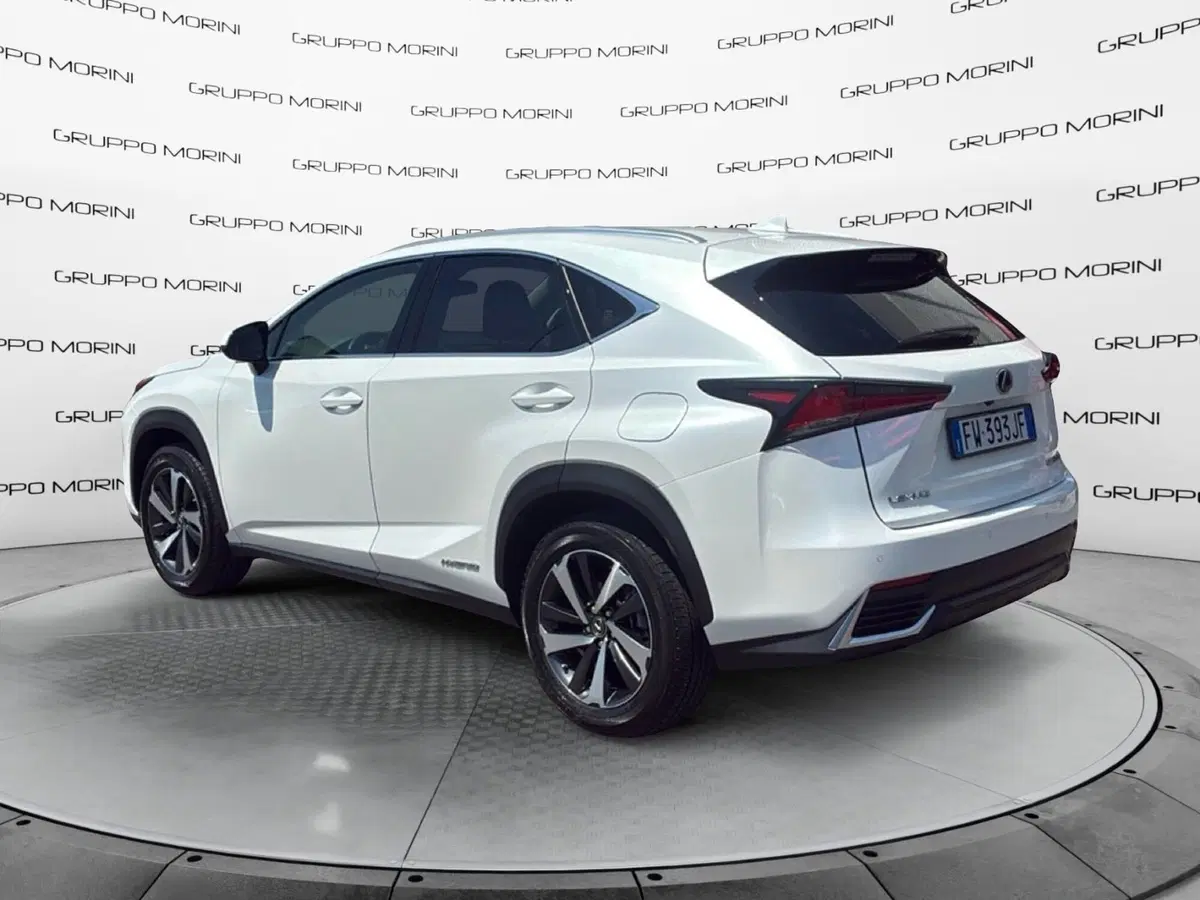 Lexus NX usata a Mantova (3)