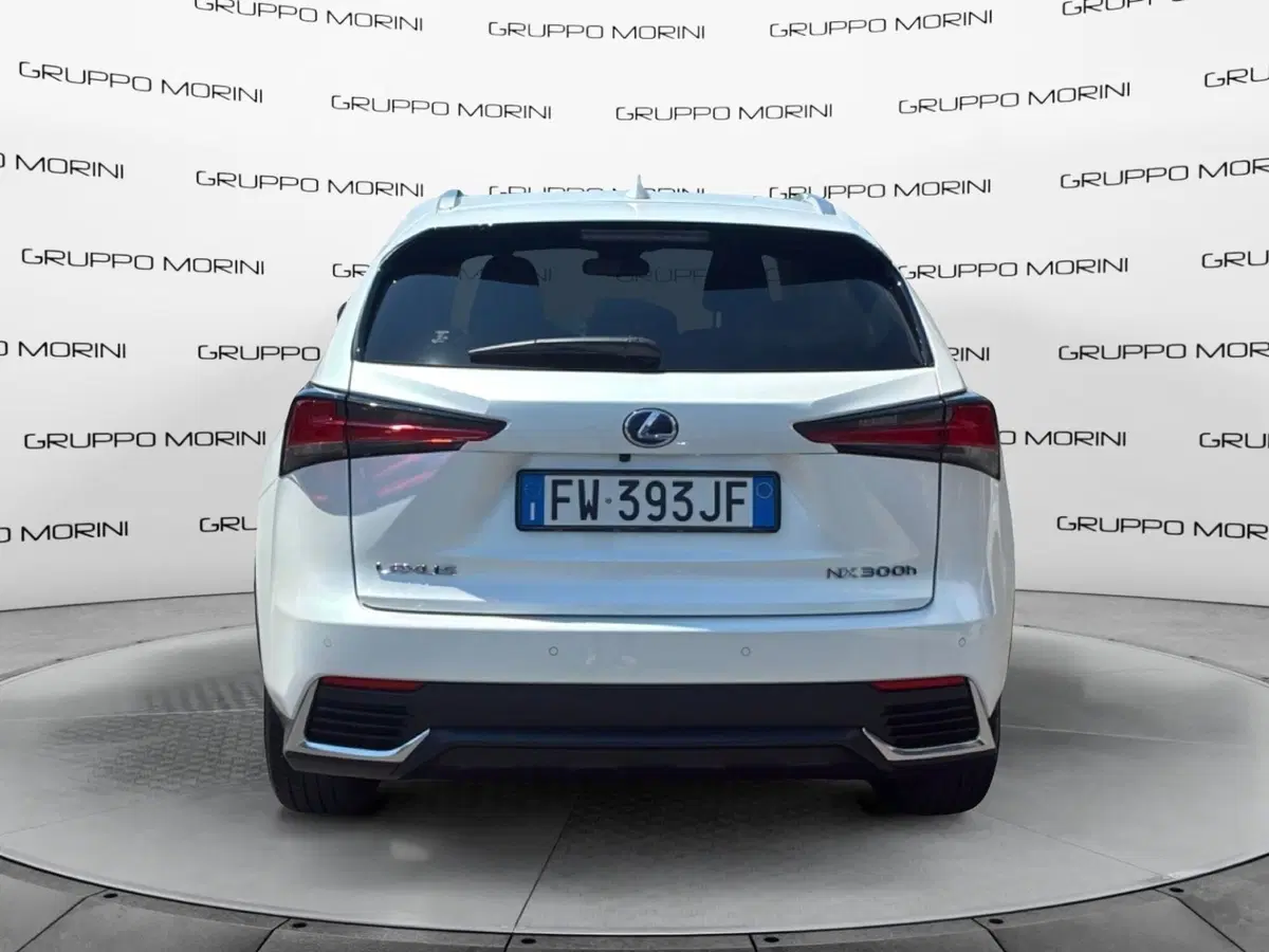 Lexus NX usata a Mantova (4)