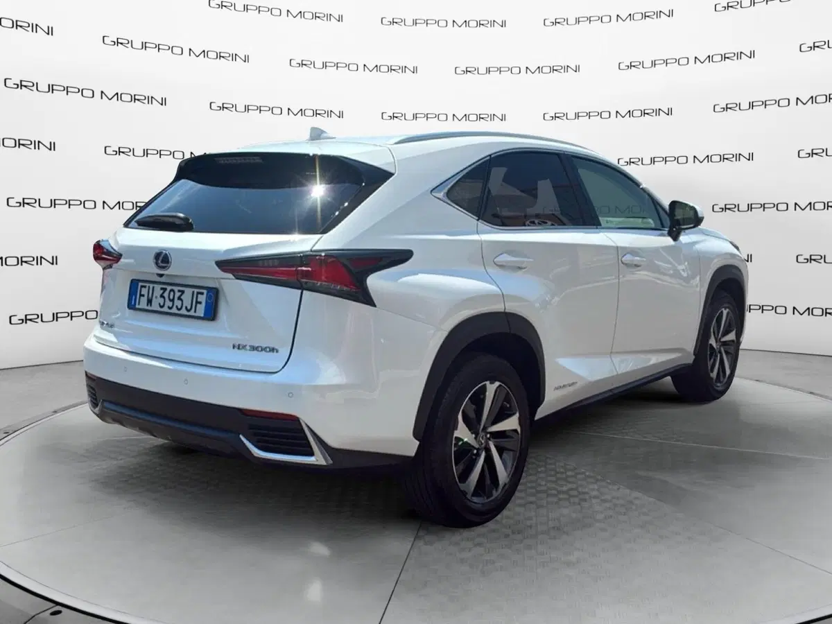 Lexus NX usata a Mantova (5)