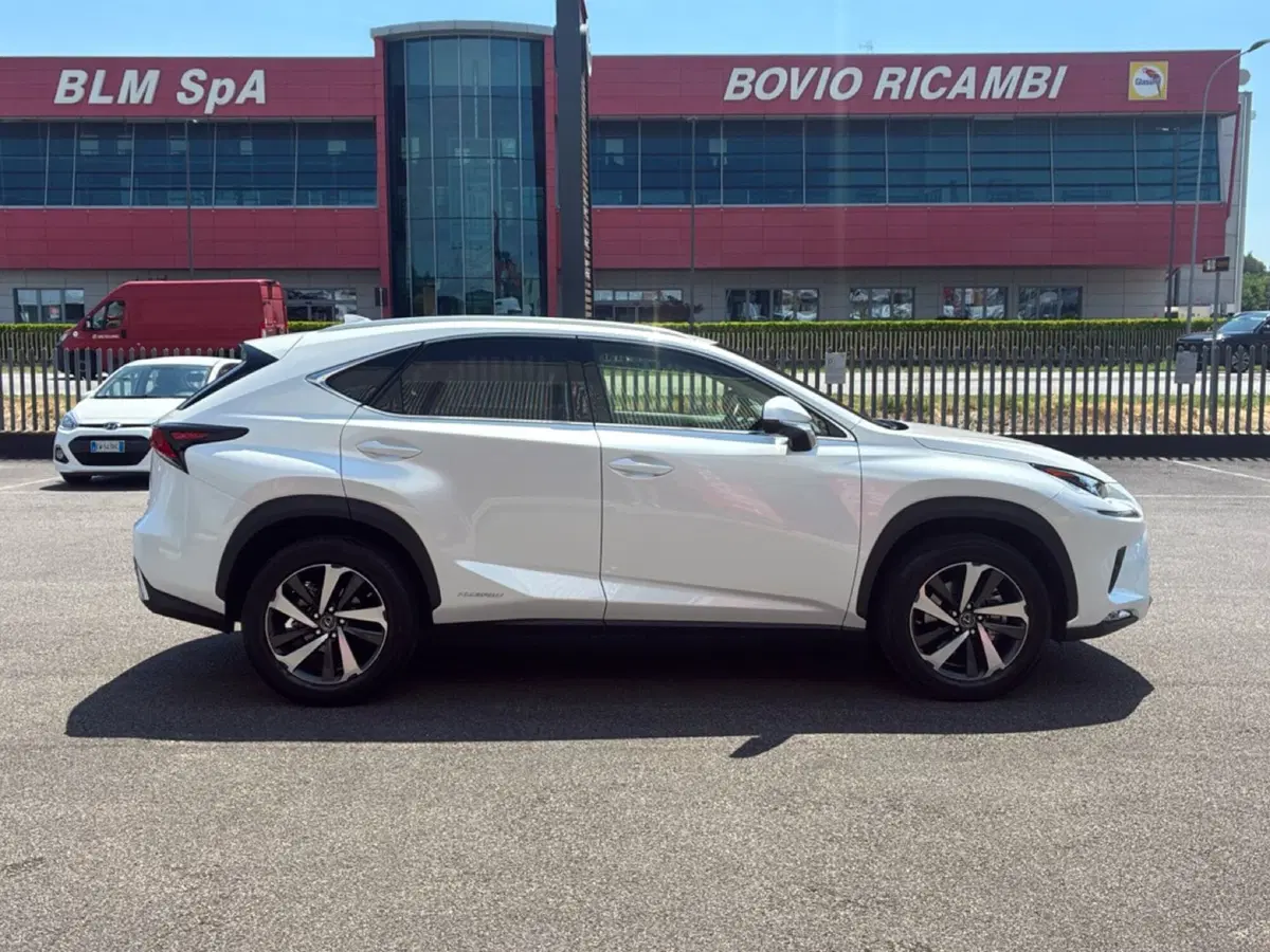 Lexus NX usata a Mantova (6)
