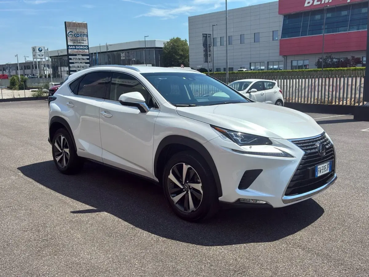 Lexus NX usata a Mantova (7)