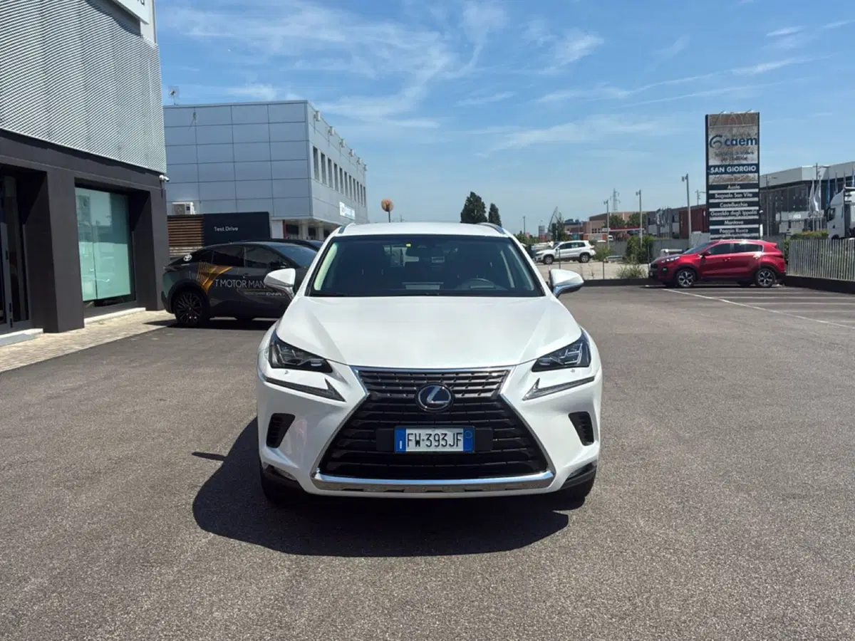 Lexus NX usata a Mantova (8)