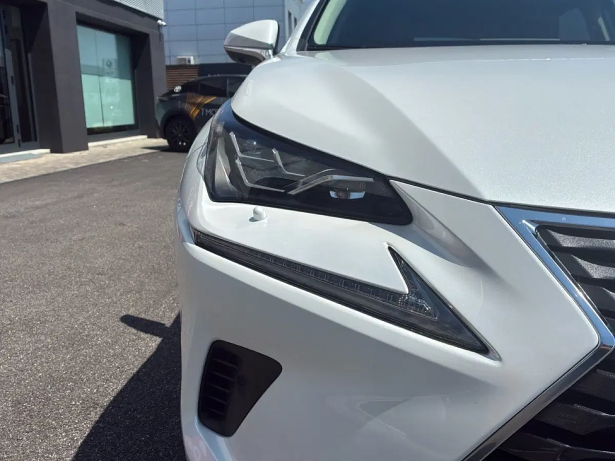 Lexus NX usata a Mantova (9)
