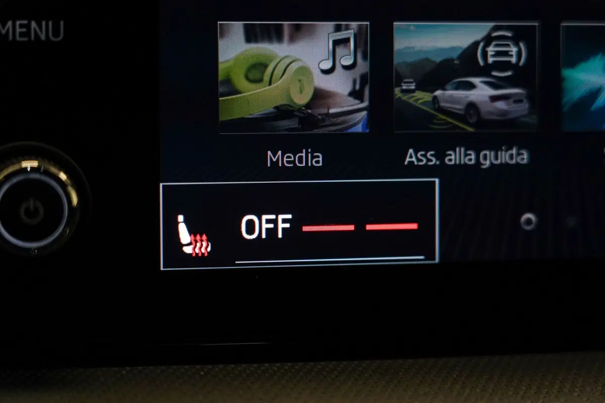 Skoda Fabia usata a Varese (17)