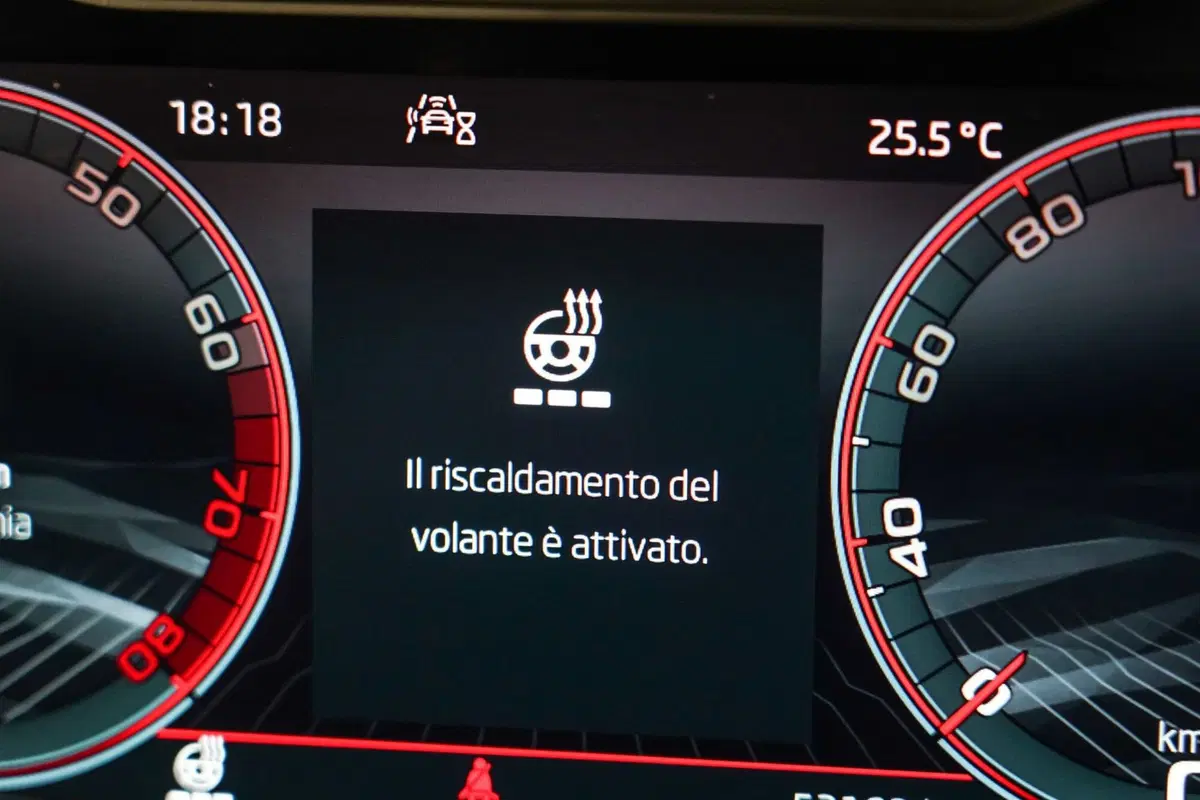 Skoda Fabia usata a Varese (19)
