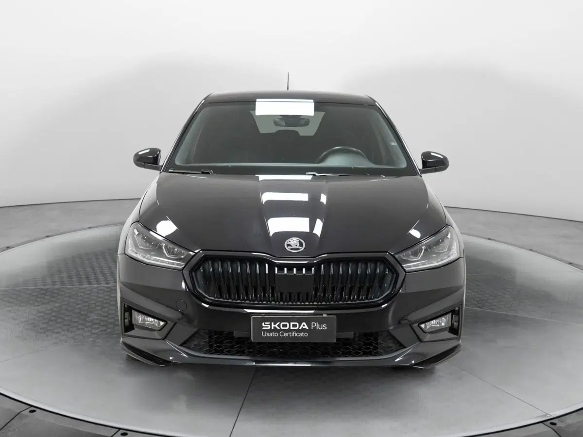 Skoda Fabia usata a Varese (2)