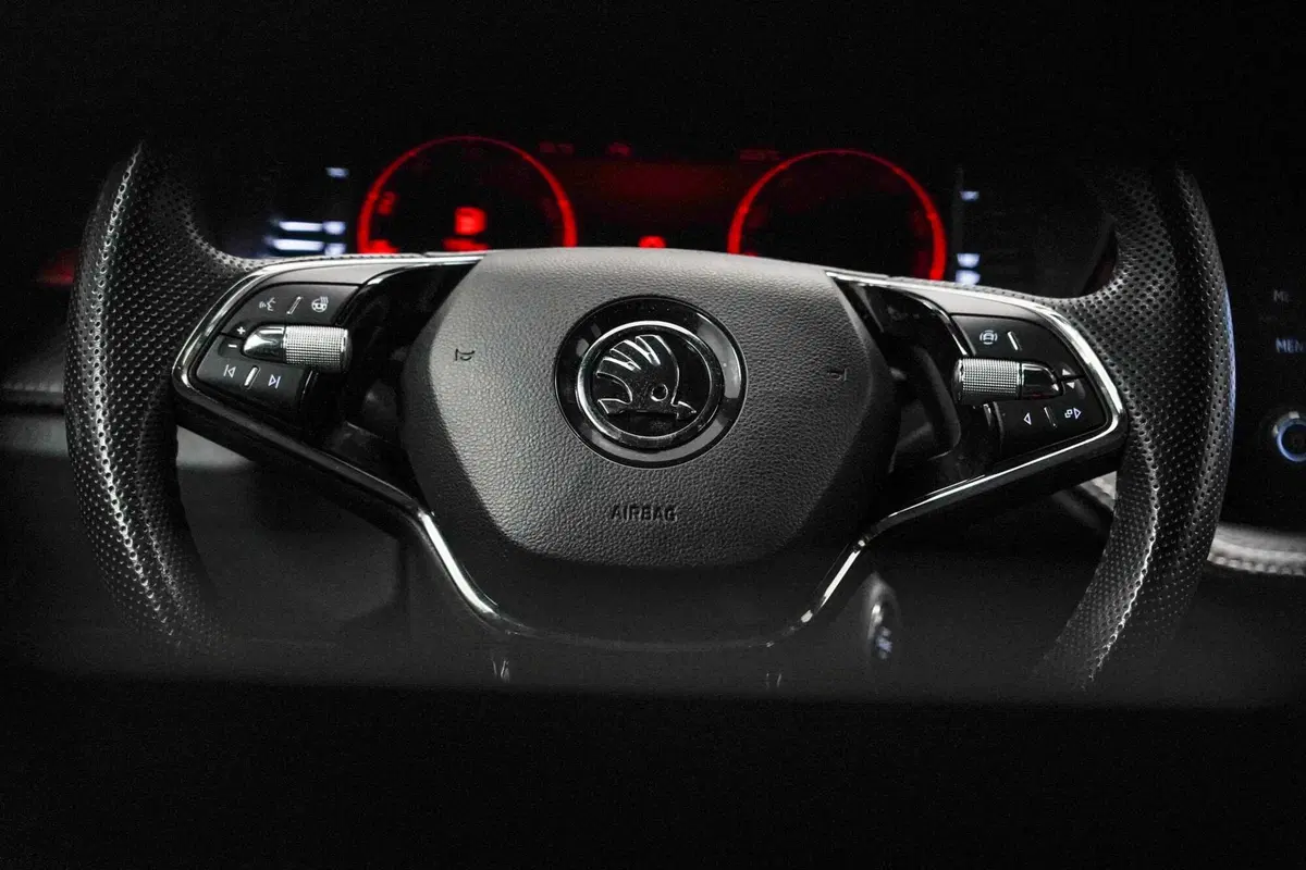 Skoda Fabia usata a Varese (20)