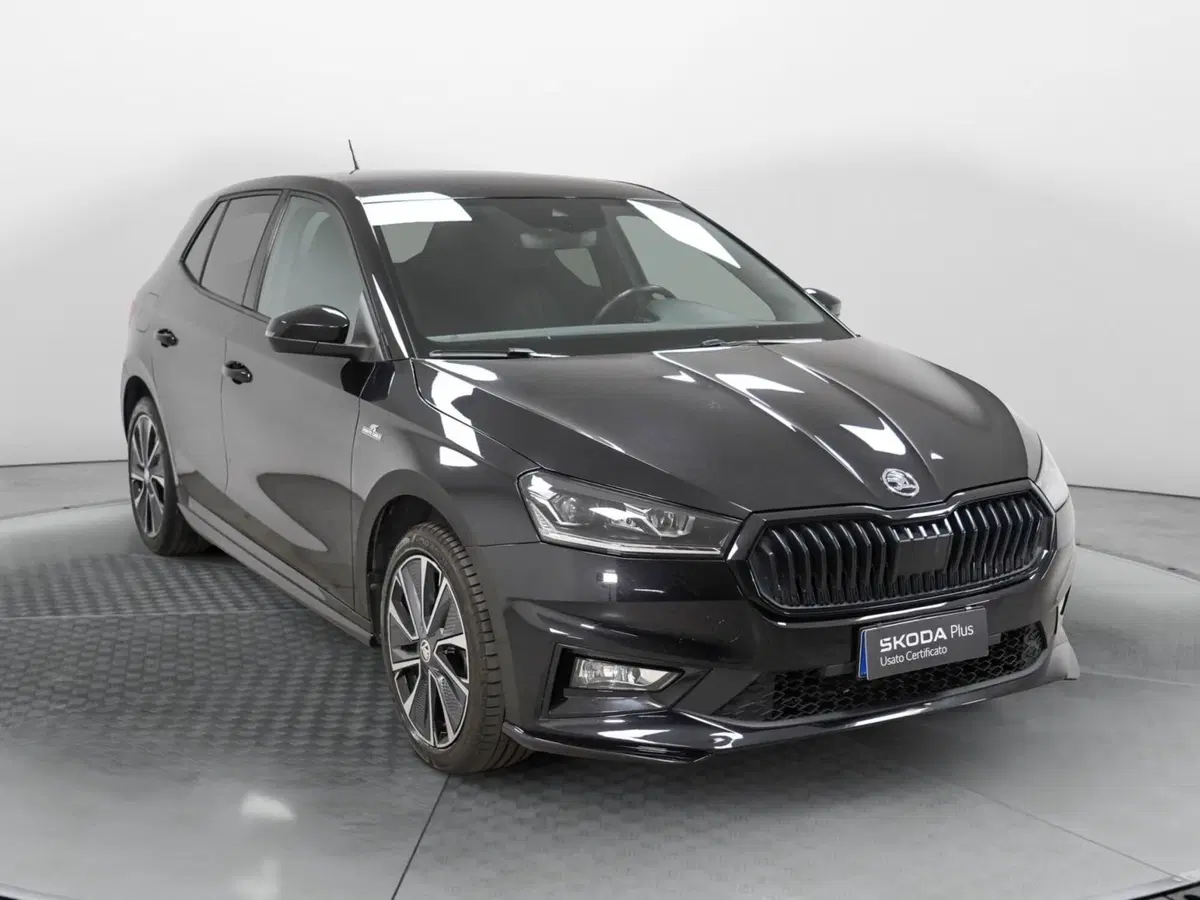 Skoda Fabia usata a Varese (3)