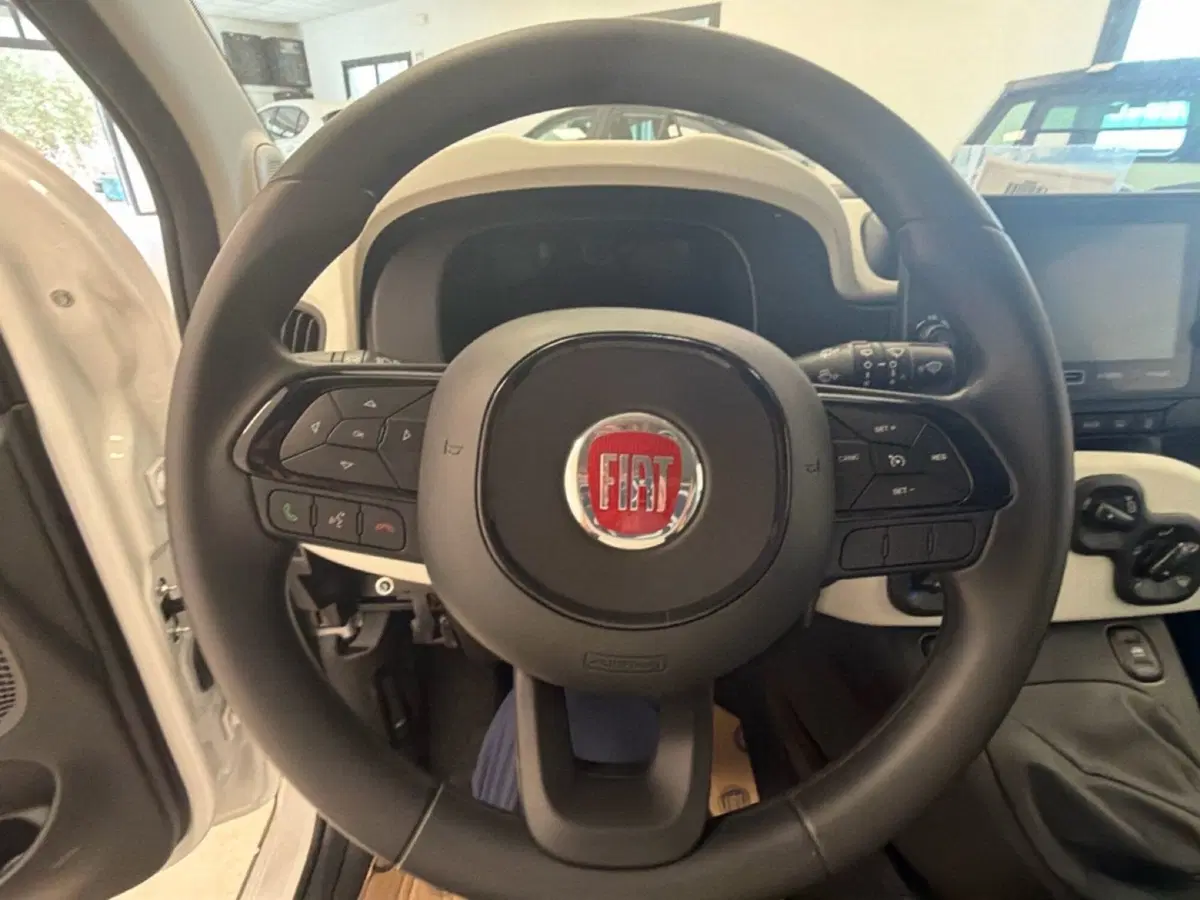 Fiat Pandina nuova a Palermo (12)