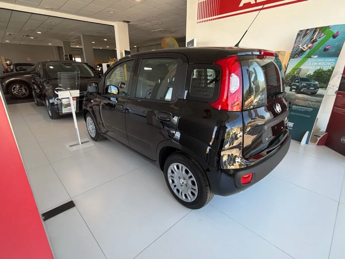 Fiat Pandina nuova a Palermo (10)