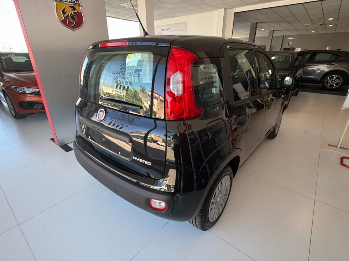 Fiat Pandina nuova a Palermo (14)
