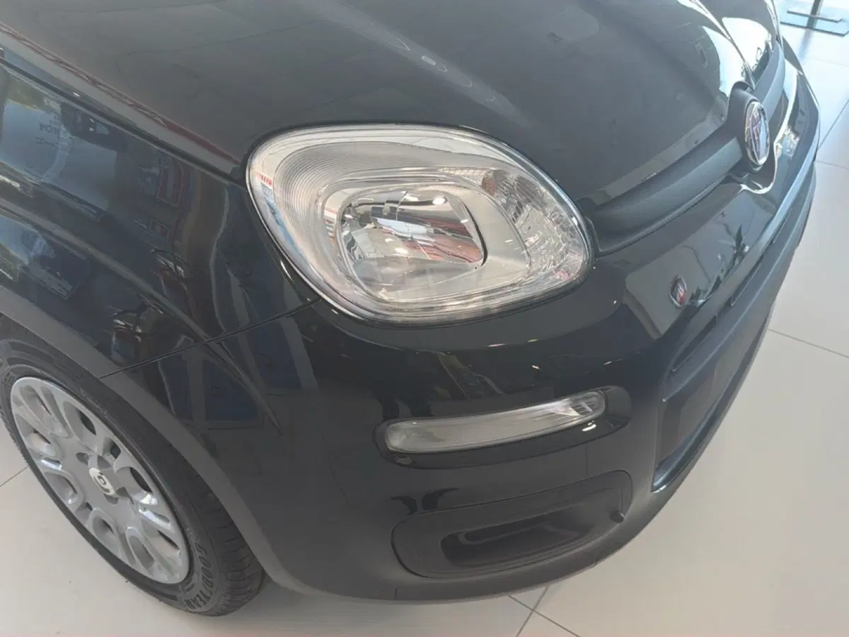 Fiat Pandina nuova a Palermo (15)