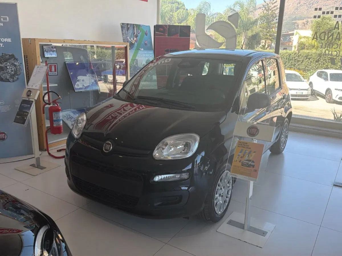 Fiat Pandina nuova a Palermo (2)