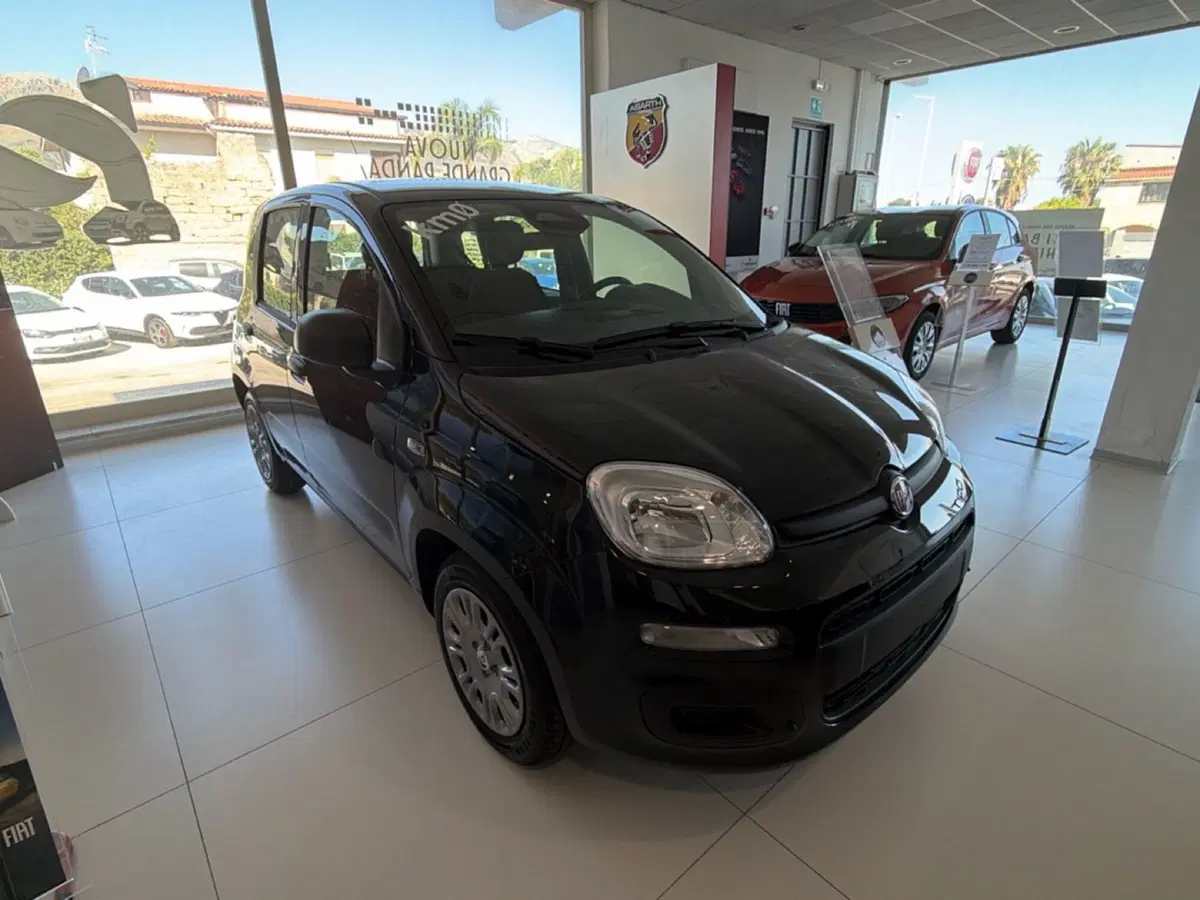 Fiat Pandina nuova a Palermo (3)