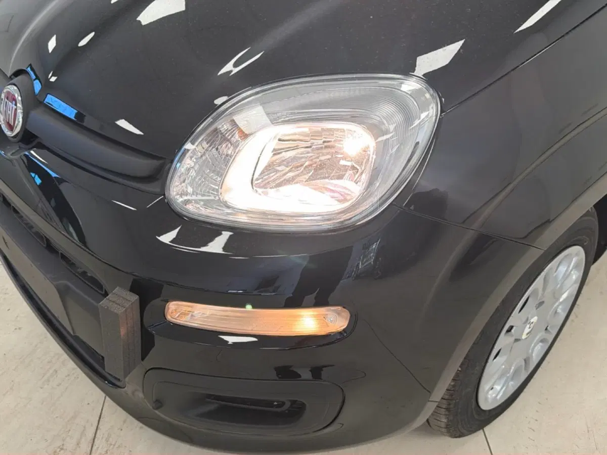 Fiat Pandina nuova a Palermo (4)