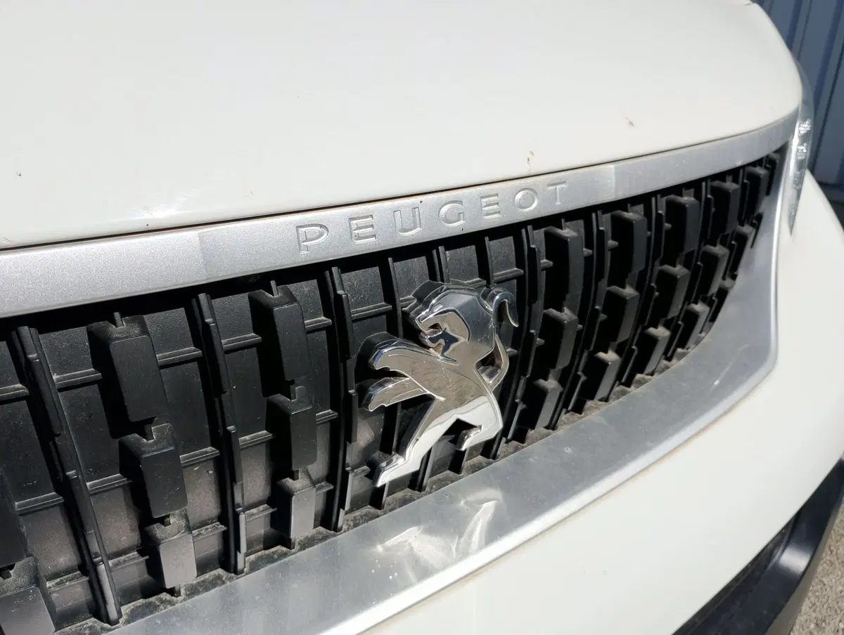 Peugeot Expert Furgone usata a Ravenna (20)