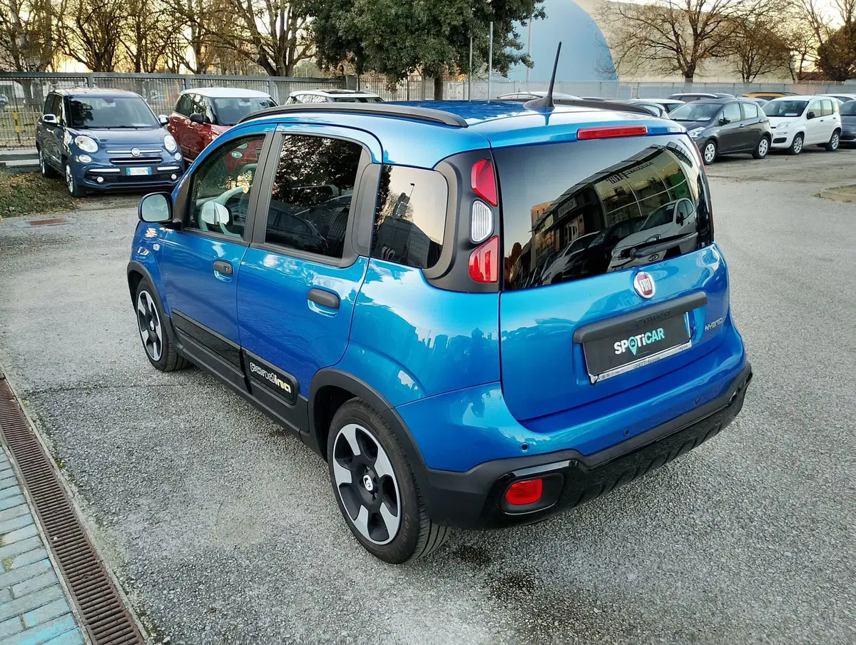 Fiat Panda Cross usata a Ravenna (2)