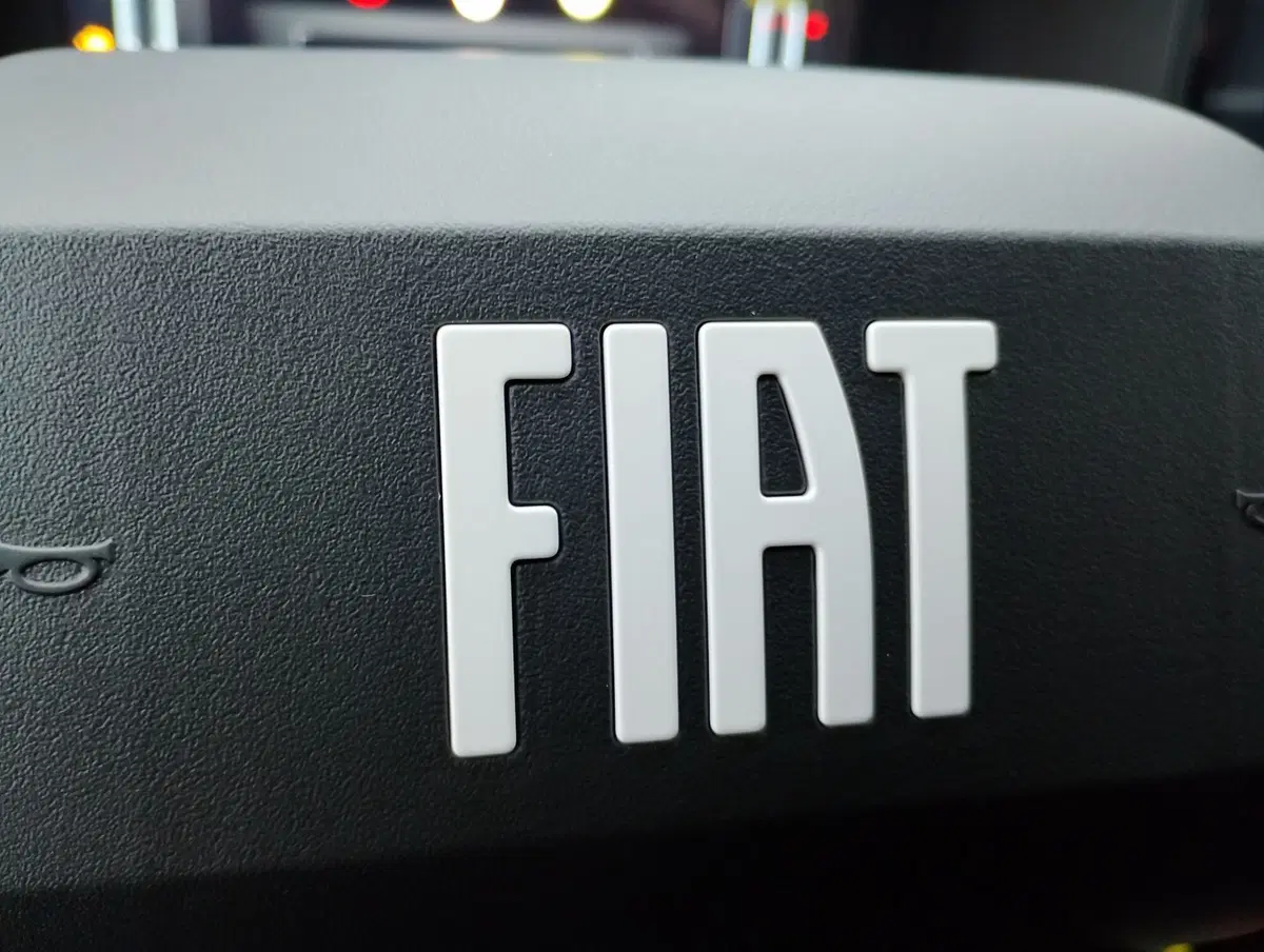 Fiat Grande Panda usata a Ravenna (16)