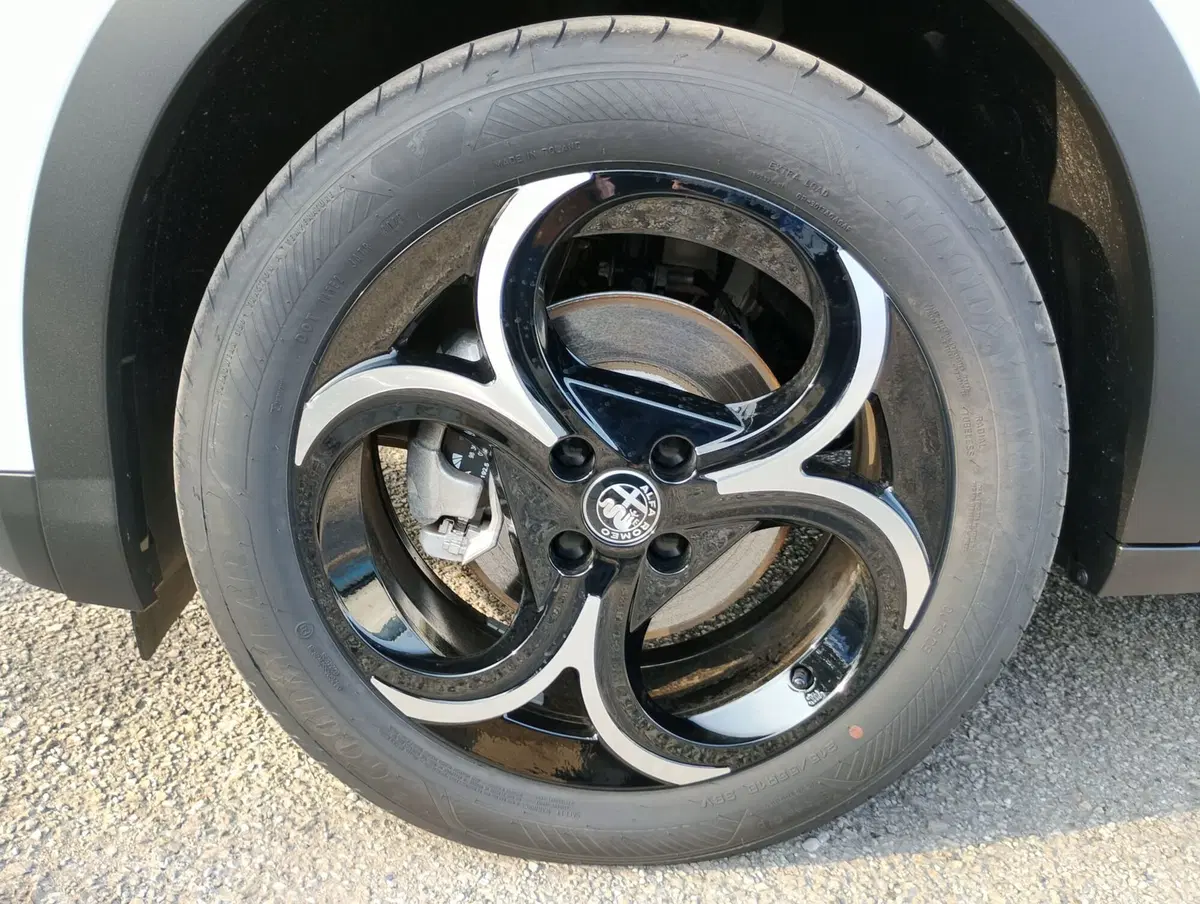 Alfa Romeo Junior nuova a Ravenna (9)