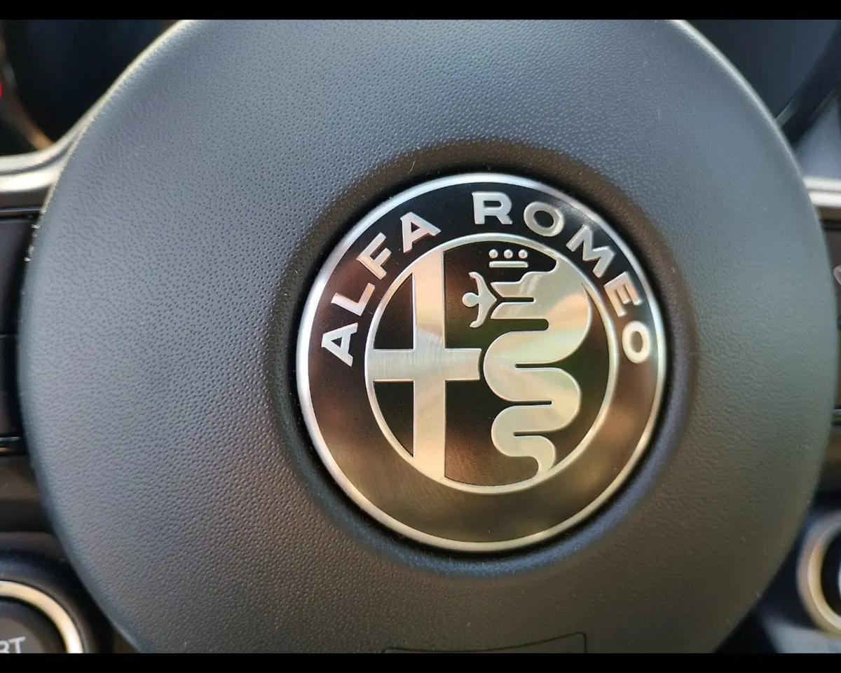 Alfa Romeo Tonale usata a Ravenna (16)
