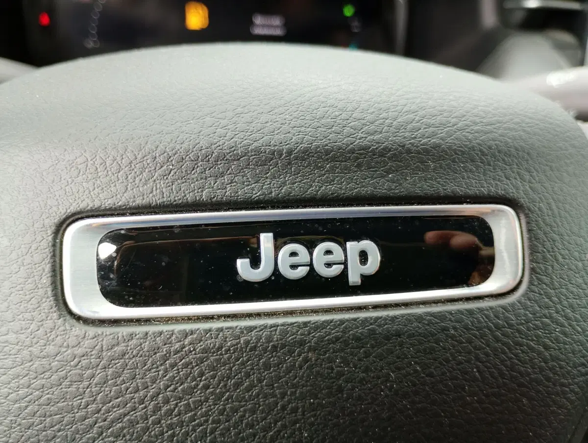 Jeep Compass usata a Ravenna (16)