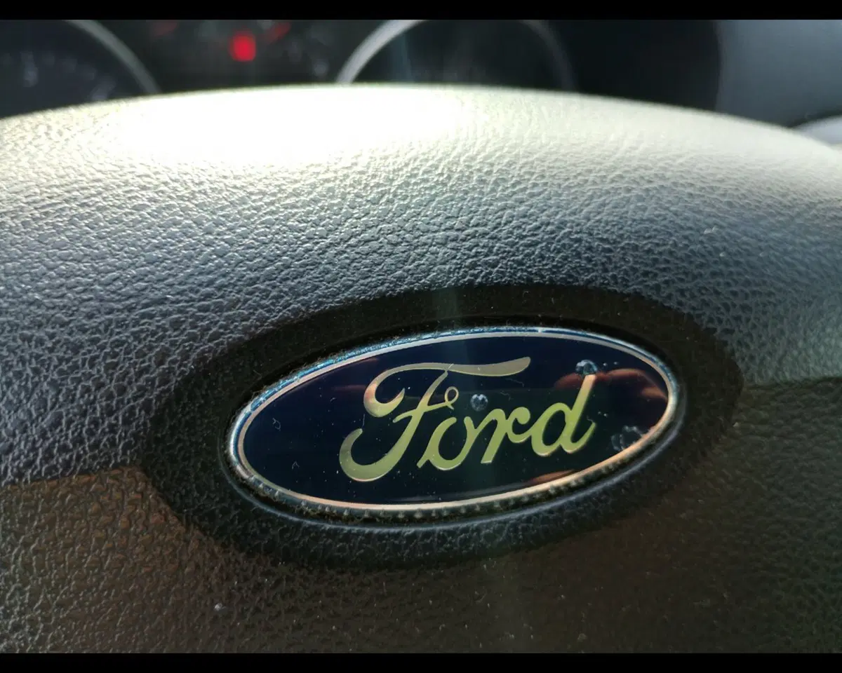 Ford S-Max usata a Ravenna (17)