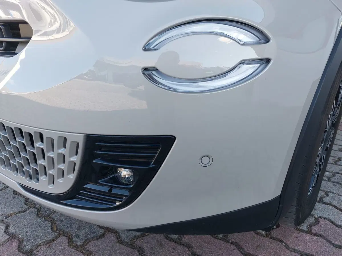Fiat 600 usata a Pavia (13)