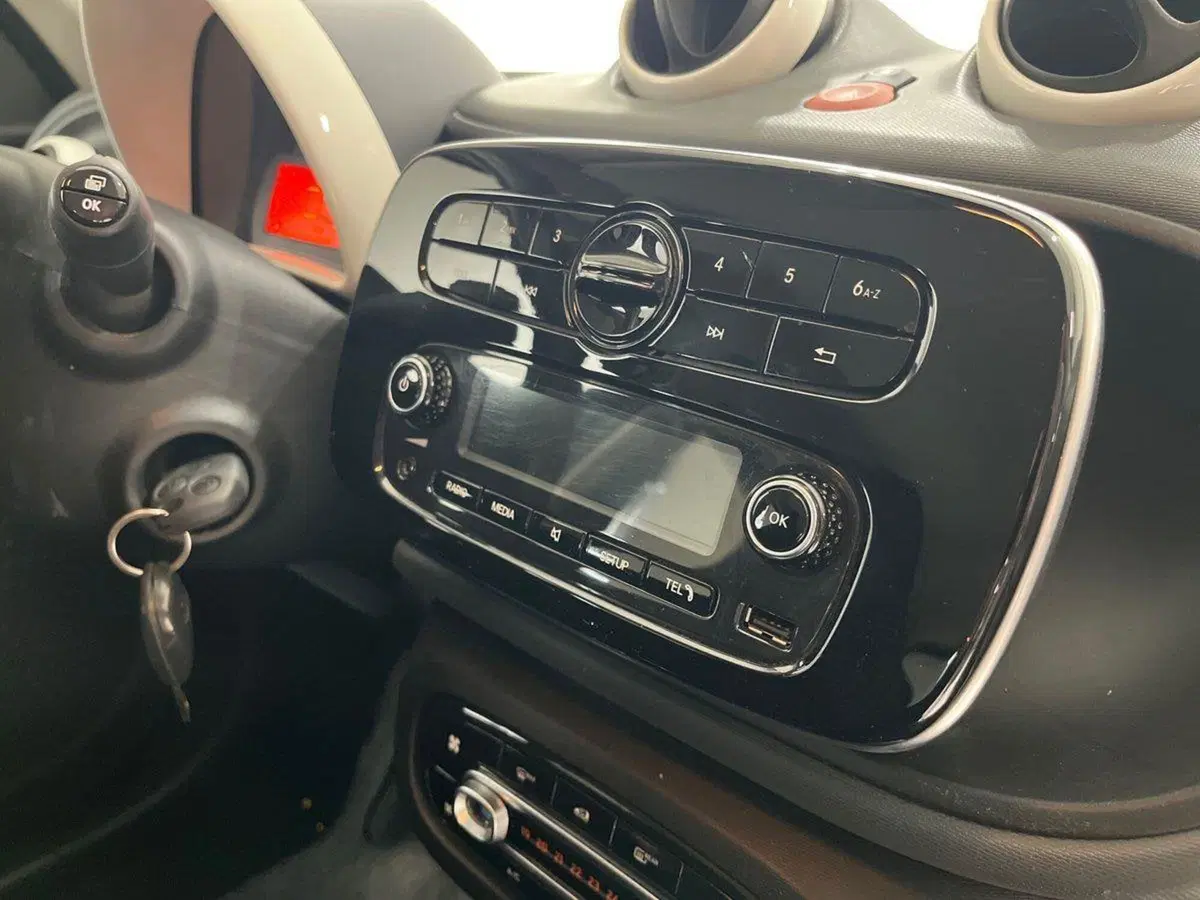smart forfour usata a Napoli (12)