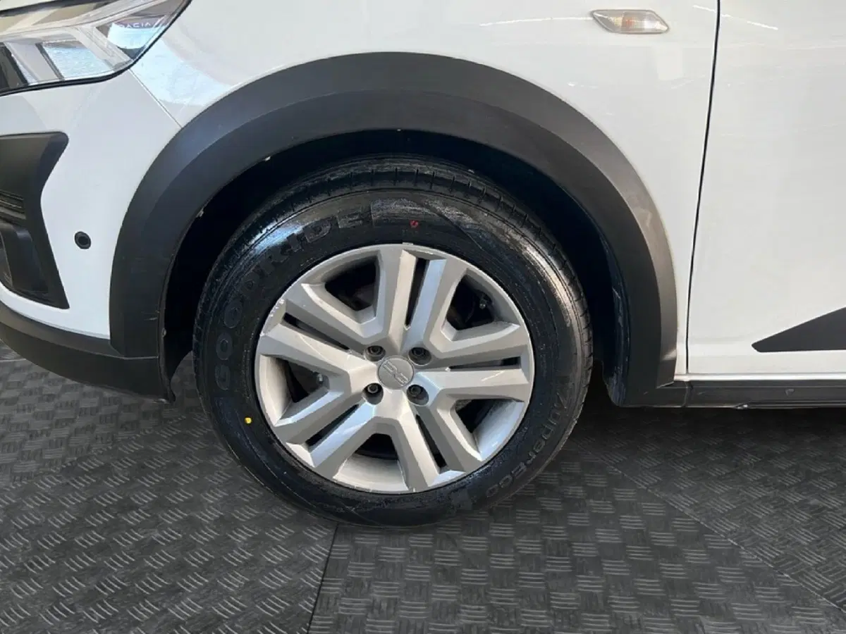 Dacia Sandero usata a Roma (9)