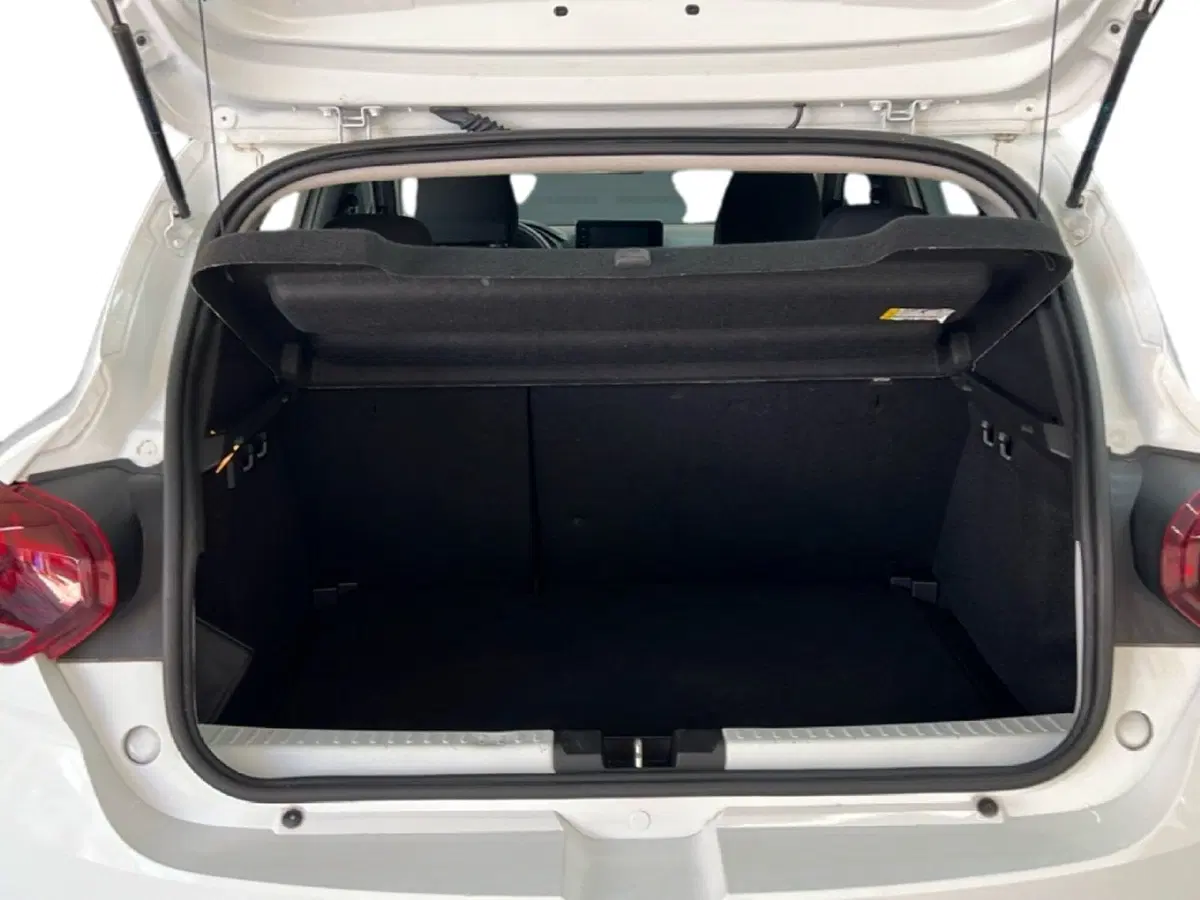 Dacia Sandero usata a Roma (10)
