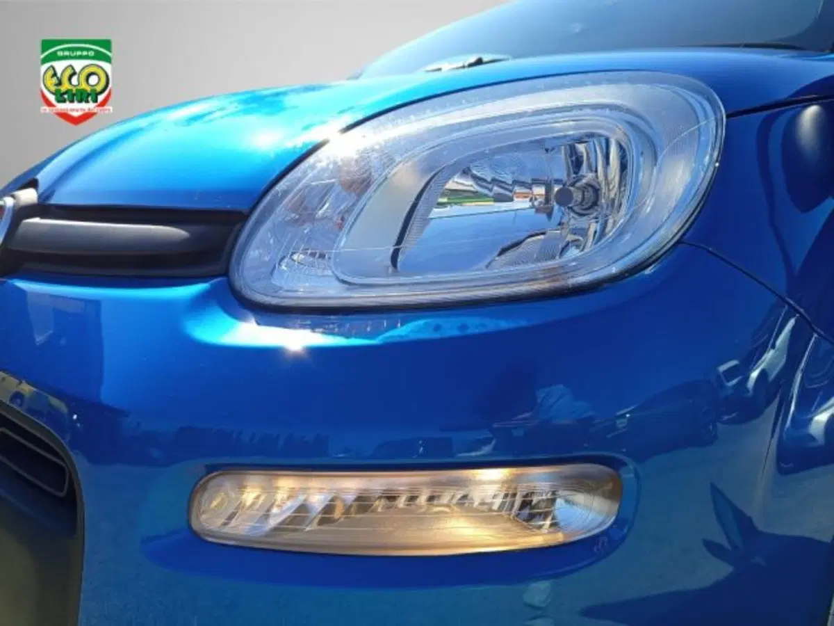 Fiat Panda usata a Frosinone (15)