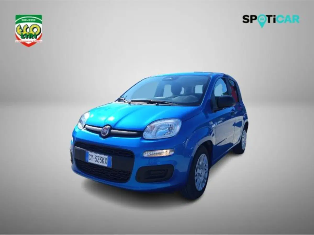 Fiat Panda usata a Frosinone (17)