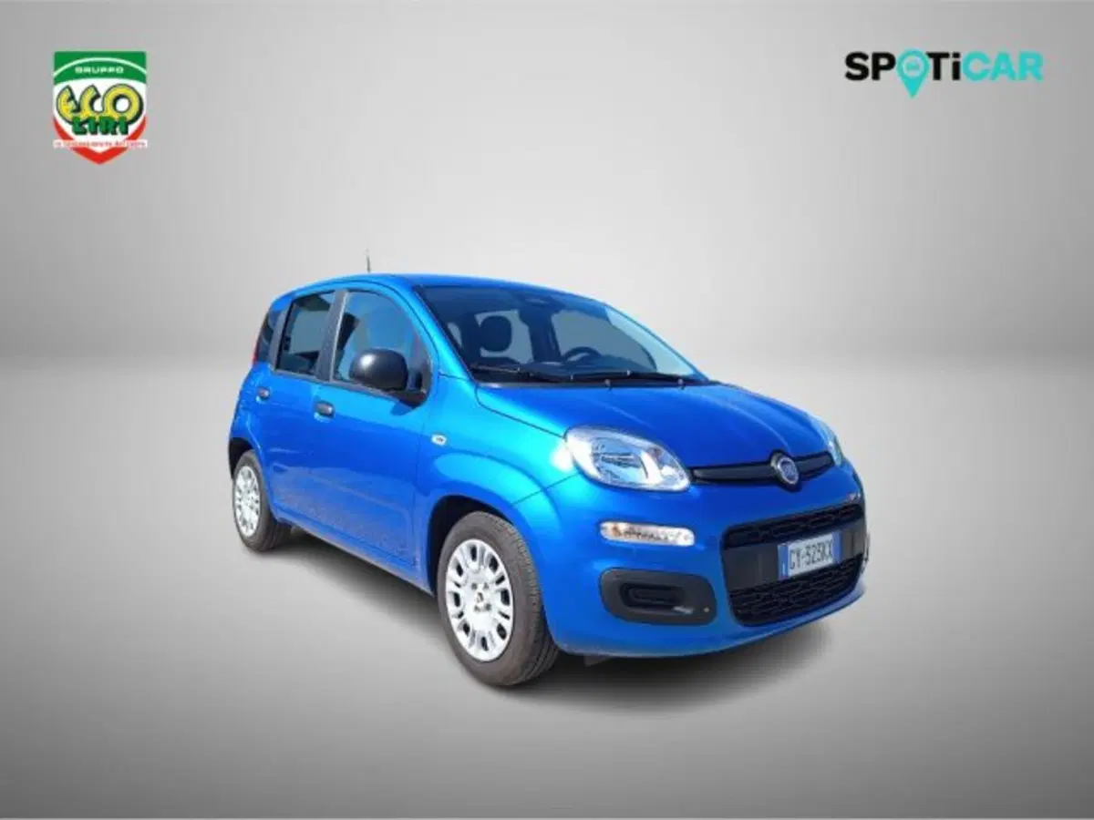 Fiat Panda usata a Frosinone (19)