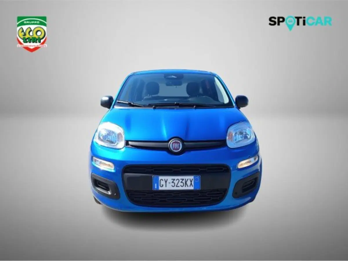 Fiat Panda usata a Frosinone (2)
