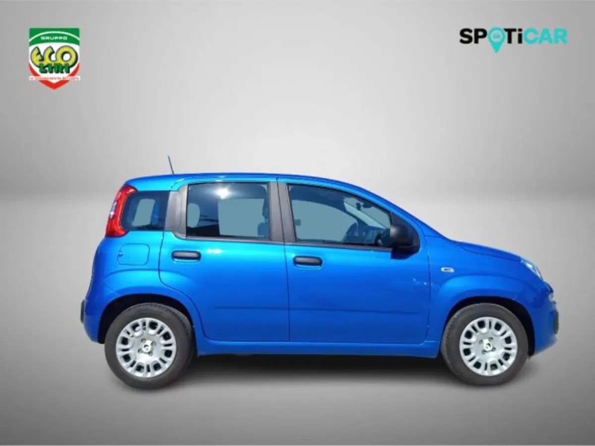 Fiat Panda usata a Frosinone (4)