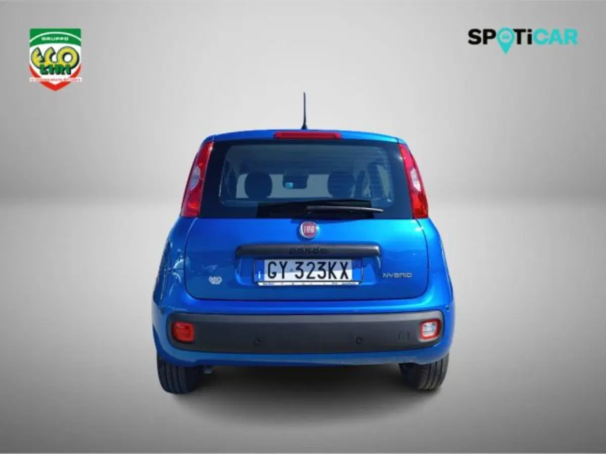 Fiat Panda usata a Frosinone (5)