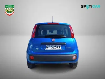 Fiat Panda 1.0 firefly hybrid s&amp;s 70cv 5p.ti del 2025 usata a San Giorgio a Liri